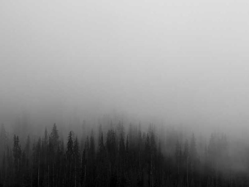 Digital Transformation in Education