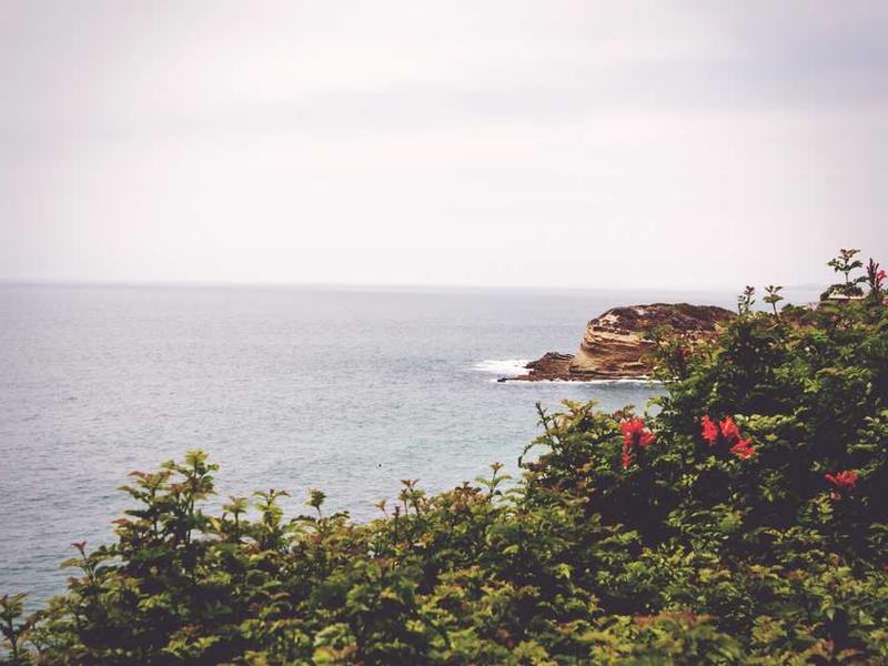 Community Health and Wellness Program