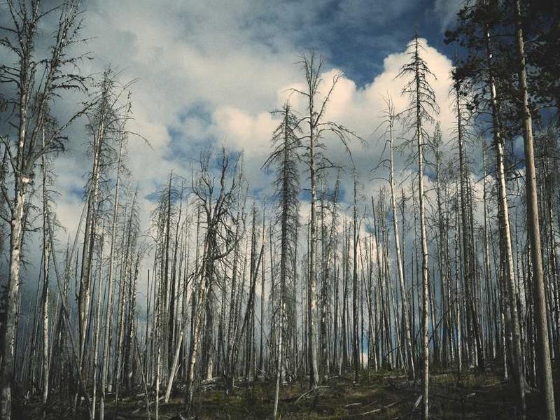 Economic Development Partnership Announced