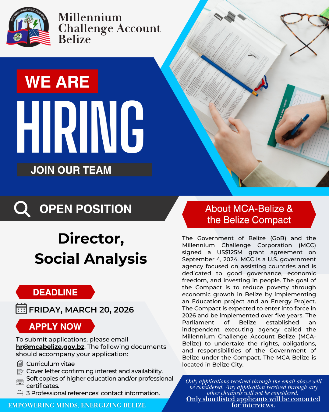 Director, Social Analysis